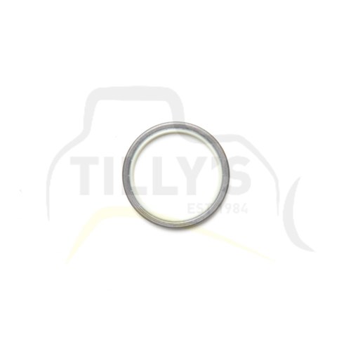 SEAL - LIP TYPE