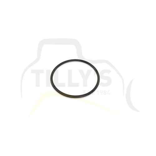 SEAL - O RING