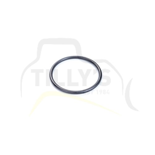 SEAL - O RING