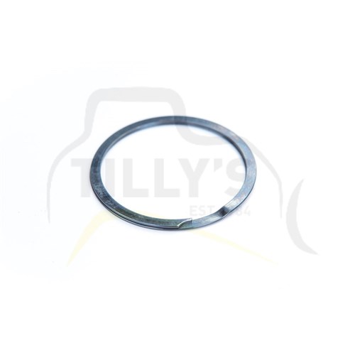 RING - RETAINING INTERNAL