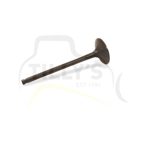 VALVE - INLET 3066DI