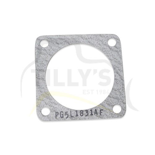 GASKET -