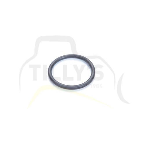 SEAL - O RING