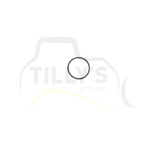 SEAL - O RING - BS024 VITON