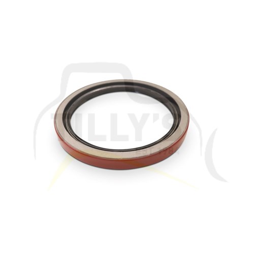 SEAL - LIP TYPE