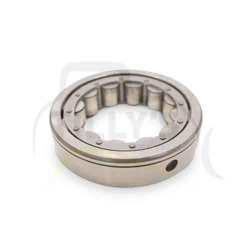 BEARING - RACE & ROLLER OUTER