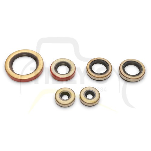 KIT - GASKET FUEL SYSTEM 950