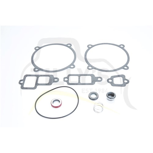 KIT - GASKET WATER PUMP D7G