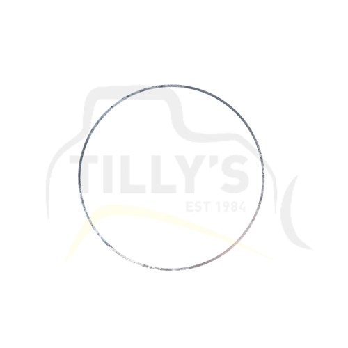 SHIM - LINER .007 D333