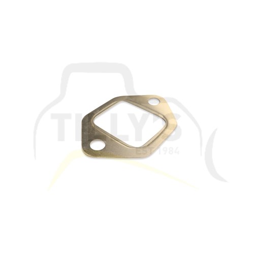 GASKET - MANIFOLD 4D120