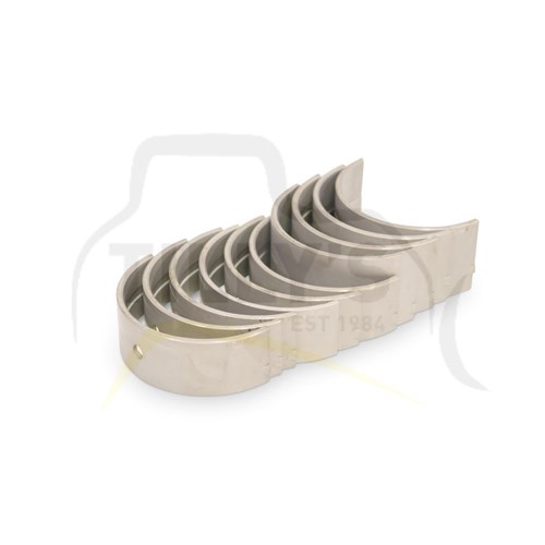 BEARING SET - CRANK MAIN 020