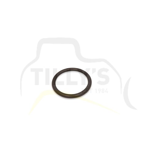 SEAL -  O RING BREATHER