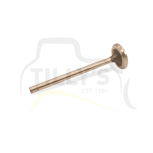 VALVE - EXHAUST D50S-16