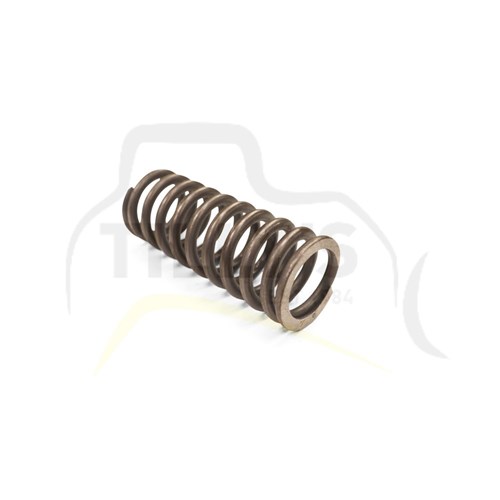 SPRING - VALVE ENGINE