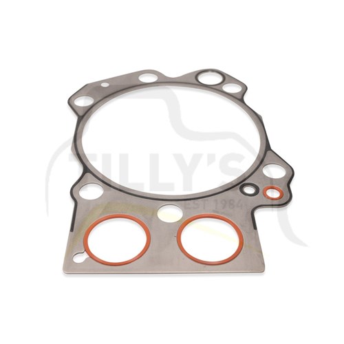 GASKET - CYL HEAD SDD170-1