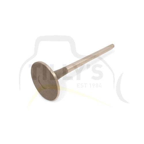 VALVE - ENGINE  INTAKE