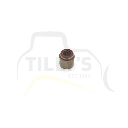 SEAL - VALVE STEM
