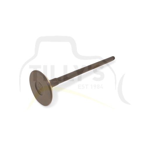 VALVE - EXHAUST 6D95