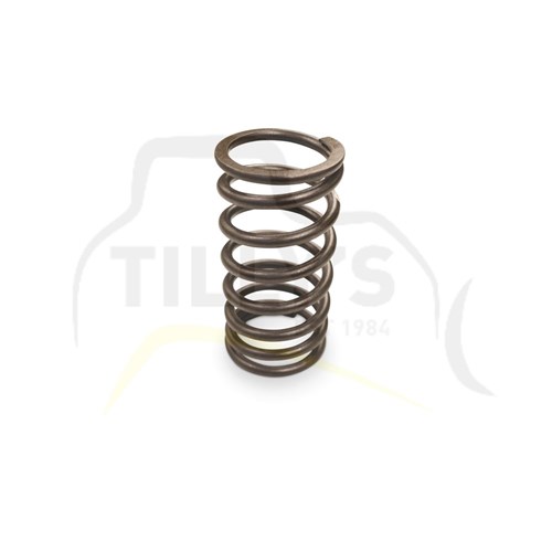 SPRING - VALVE OUTER
