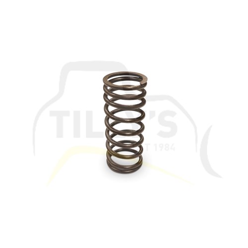 SPRING - VALVE  INNER