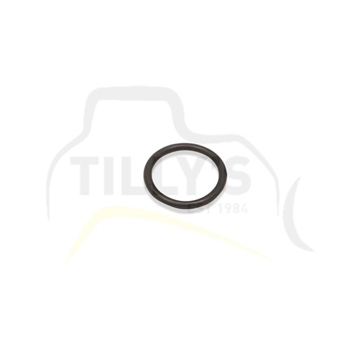 SEAL - O RING