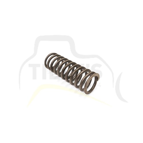 SPRING - VALVE NH220 D85-12