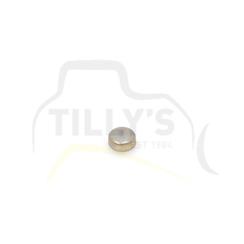 PLUG - SHAFT ROCKER NH220