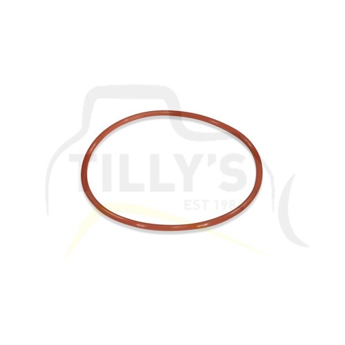 SEAL - O RING D85-12-18