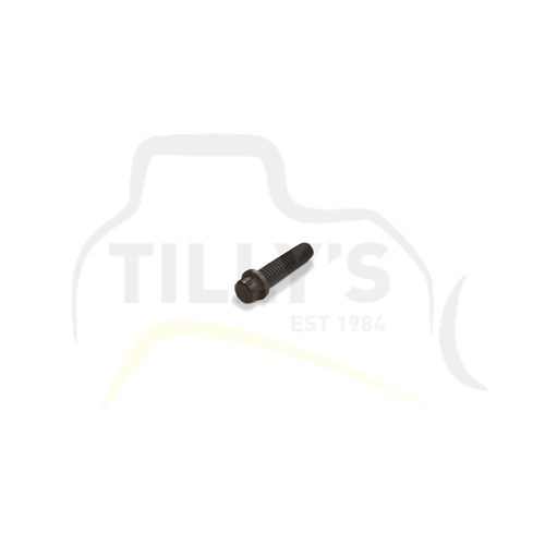 BOLT - 12 PT HEAD UNC 5/16 X