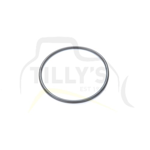 SEAL - O RING 6 ID X .192 DIA