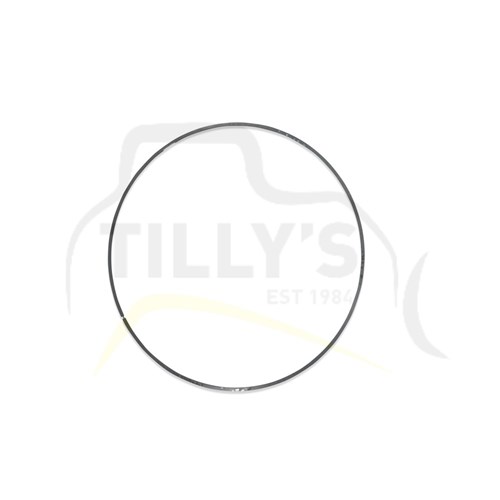 RING - SEAL METAL 030 D9H