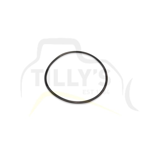 SEAL - O RING