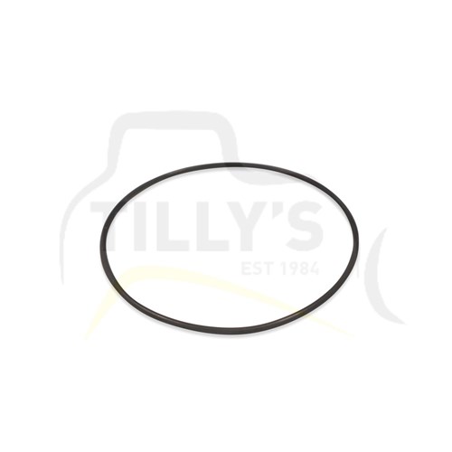 SEAL - O RING 12G