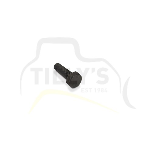 BOLT - HEX HEAD  M10 X 35MM
