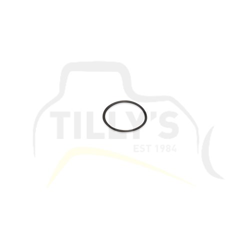 SEAL - O RING