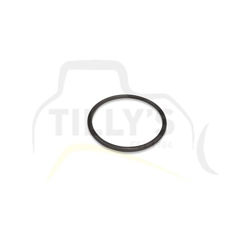 SEAL - O RING