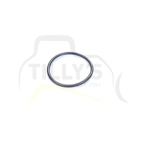 SEAL - O RING