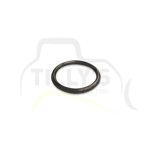 SEAL - O RING