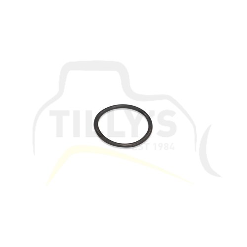 SEAL - O RING