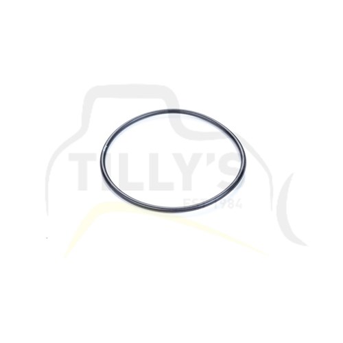 SEAL - O RING