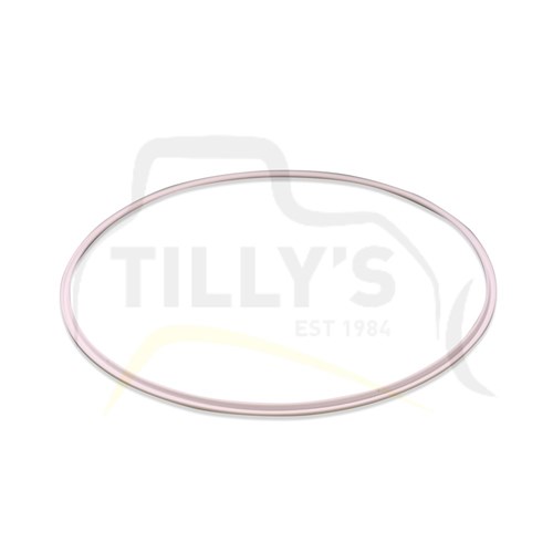 RING - SEAL STEER CLUTCH