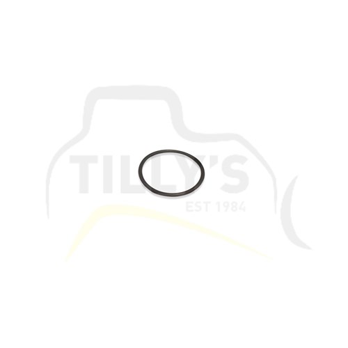 SEAL - O RING