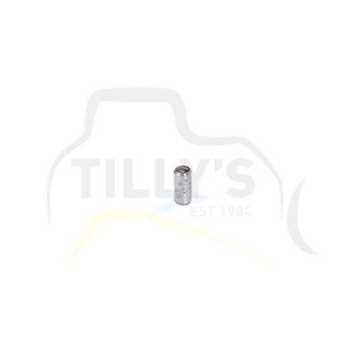 PLUG - OIL