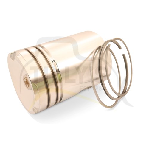 PISTON GRP - BODY & RING GRP