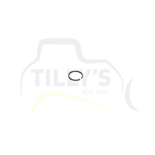 RING - PISTON CARTRIDGE GRP