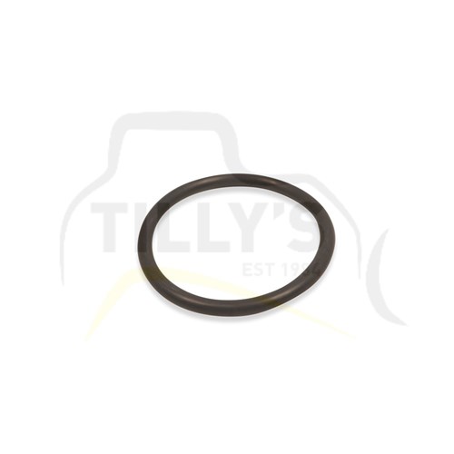 SEAL - O RING