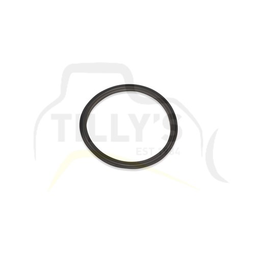 SEAL - MASTER CYC ASSY