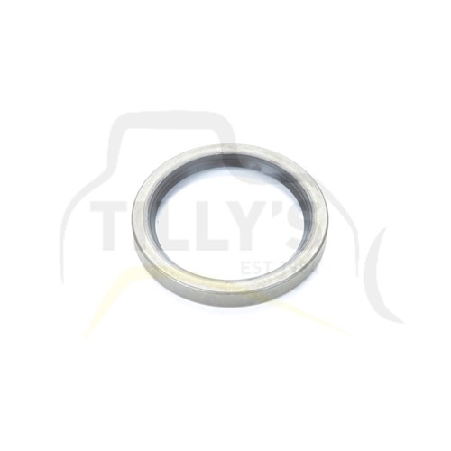 STRIP - SPRING GRP RECOIL