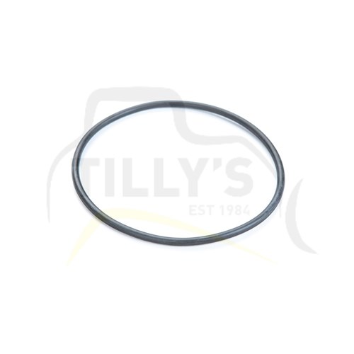 SEAL - O RING CLUTCH GRP D6H