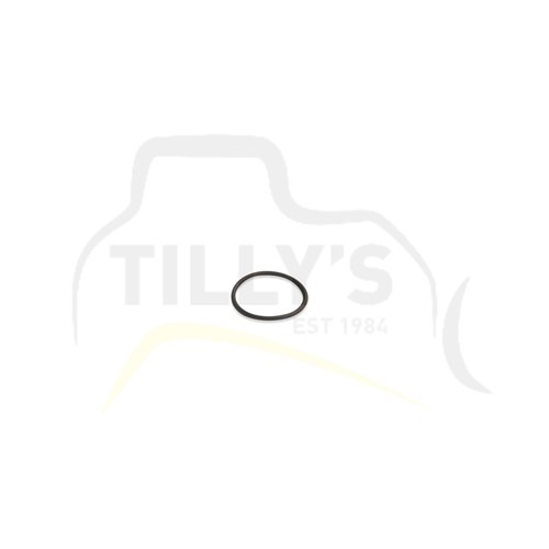 SEAL - O RING